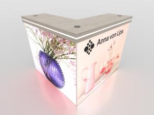 MODEXP-1738 Custom Counter
